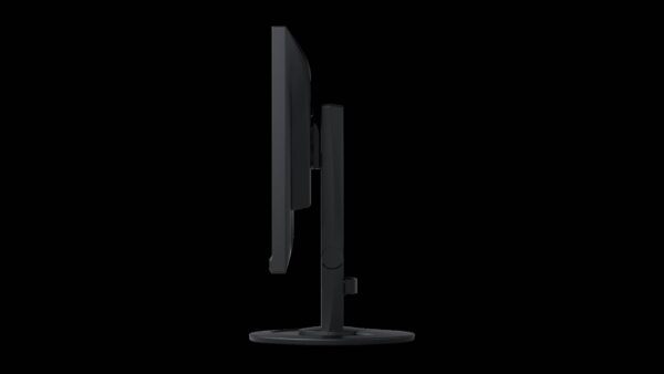 EIZO FlexScan EV2460 monitor 23,8" - NERO