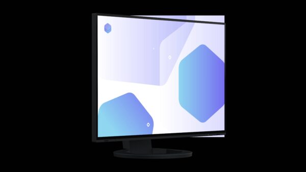 EIZO FlexScan EV2485 monitor 24" - NERO