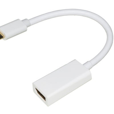 ADATTATORE USB-C / DISPLAYPORT FEMMINA