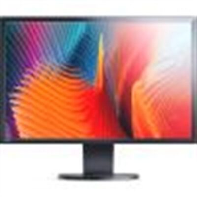 REFURBISHED MONITOR EIZO FLEXSCAN EV2436W 24″ BLACK FULL HD VGA-DVI-DP – USB  GRADO A