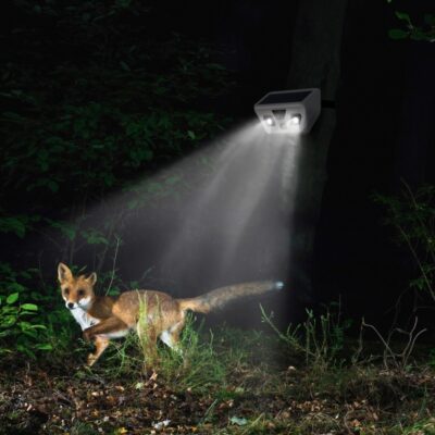 VIDEOCAMERA SOLARE PER ESTERNO FULL HD CON LAMPADA LED
